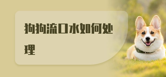 狗狗流口水如何处理