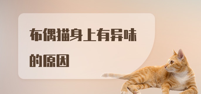 布偶猫身上有异味的原因