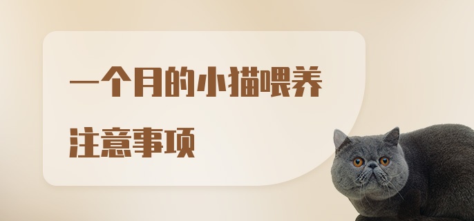 一个月的小猫喂养注意事项