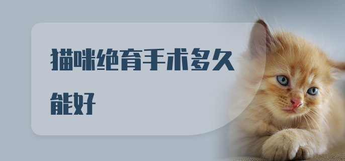 猫咪绝育手术多久能好