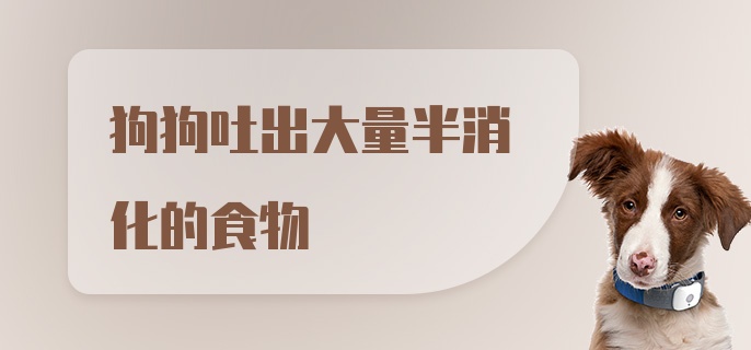 狗狗吐出大量半消化的食物