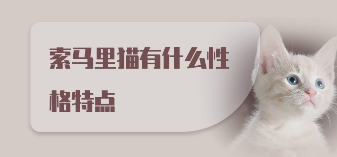 索马里猫有什么性格特点