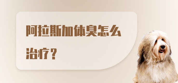 阿拉斯加体臭怎么治疗？