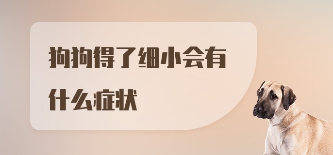 狗狗得了细小会有什么症状