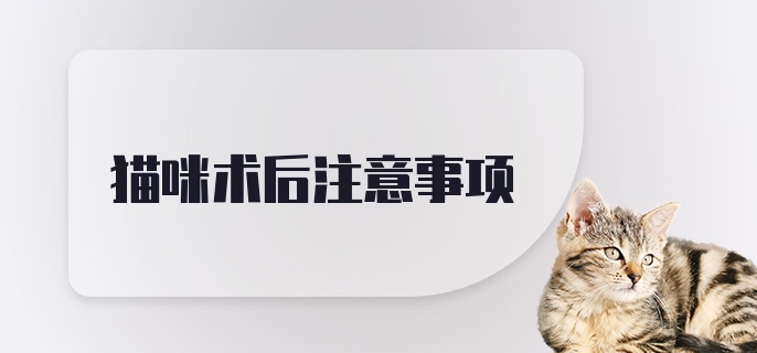 猫咪术后注意事项