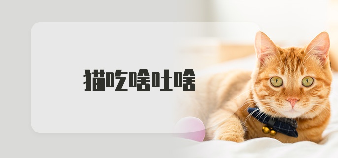 猫吃啥吐啥