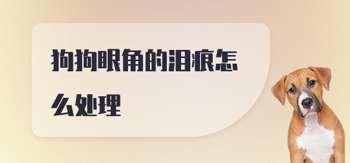 狗狗眼角的泪痕怎么处理