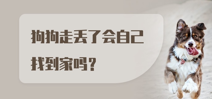 狗狗走丢了会自己找到家吗？