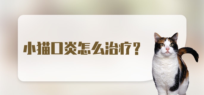 小猫口炎怎么治疗？