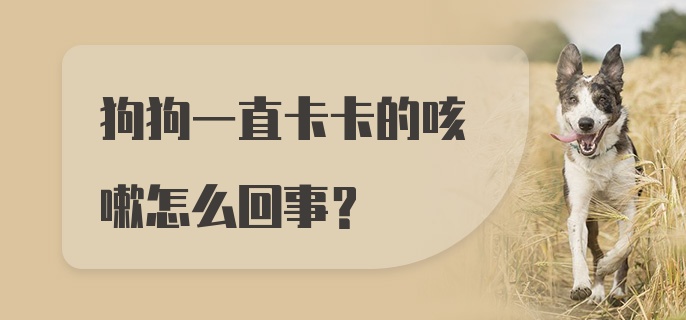 狗狗一直卡卡的咳嗽怎么回事？