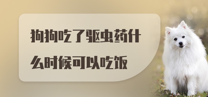 狗狗吃了驱虫药什么时候可以吃饭