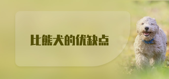 比熊犬的优缺点