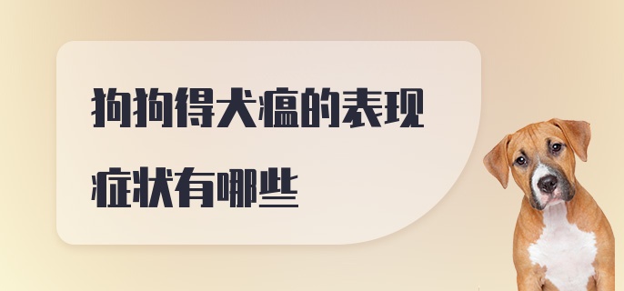 狗狗得犬瘟的表现症状有哪些