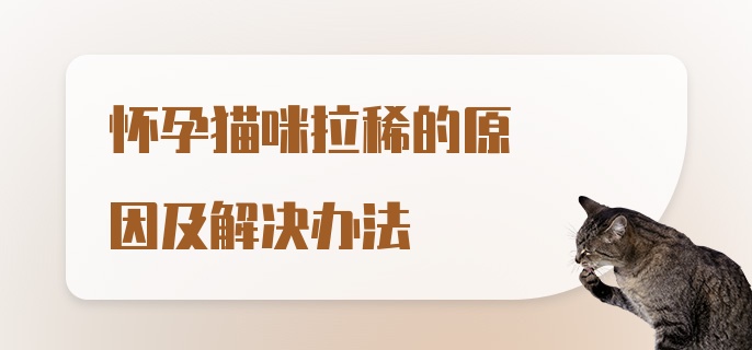 怀孕猫咪拉稀的原因及解决办法