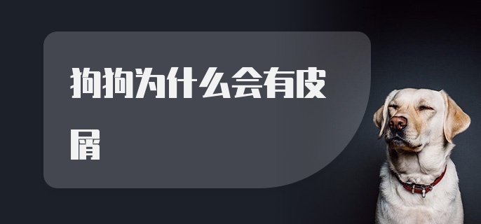 狗狗为什么会有皮屑