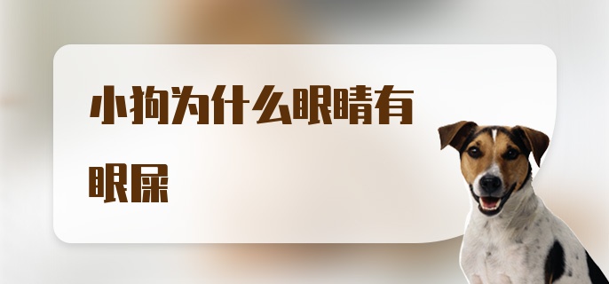 小狗为什么眼睛有眼屎