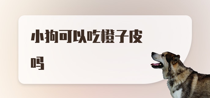 小狗可以吃橙子皮吗