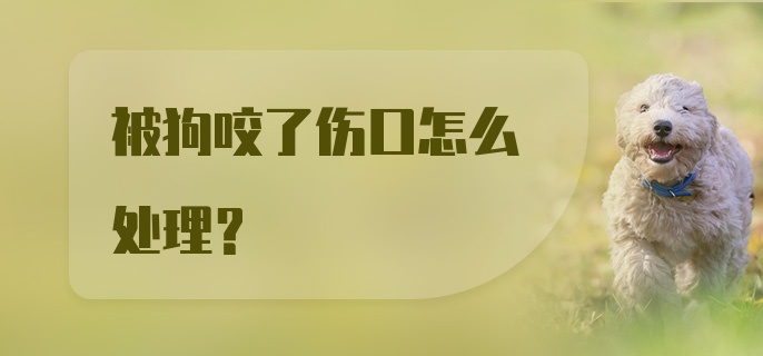 被狗咬了伤口怎么处理？