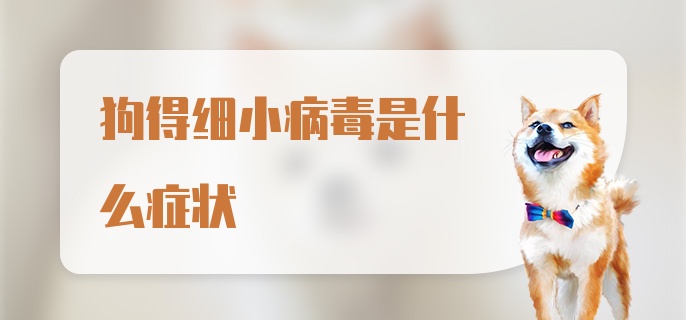 狗得细小病毒是什么症状