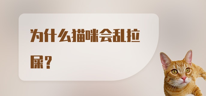 为什么猫咪会乱拉屎？