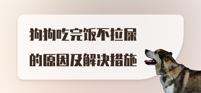 狗狗吃完饭不拉屎的原因及解决措施