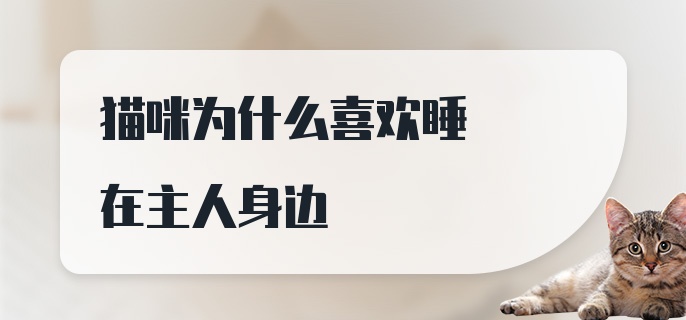 猫咪为什么喜欢睡在主人身边