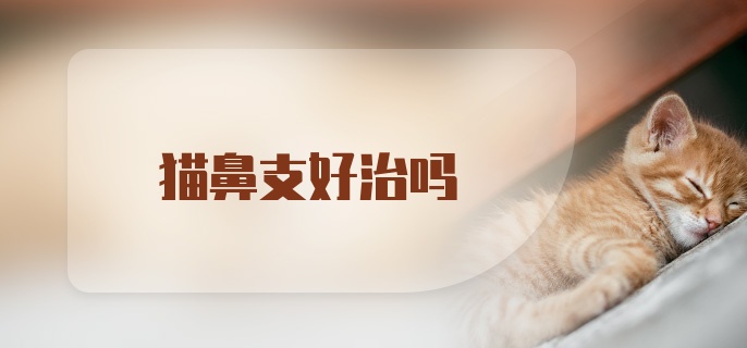 猫鼻支好治吗