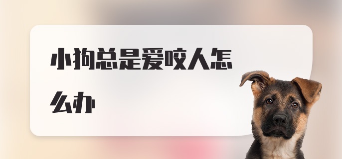 小狗总是爱咬人怎么办