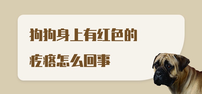 狗狗身上有红色的疙瘩怎么回事