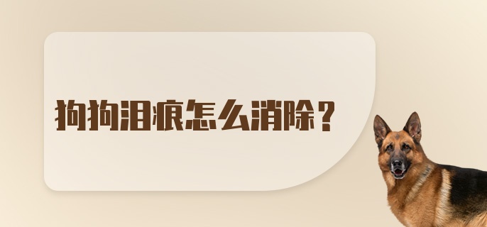 狗狗泪痕怎么消除？