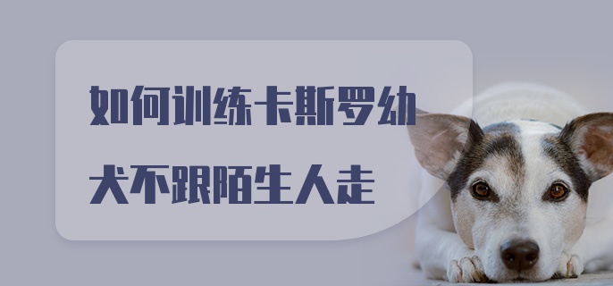 如何训练卡斯罗幼犬不跟陌生人走