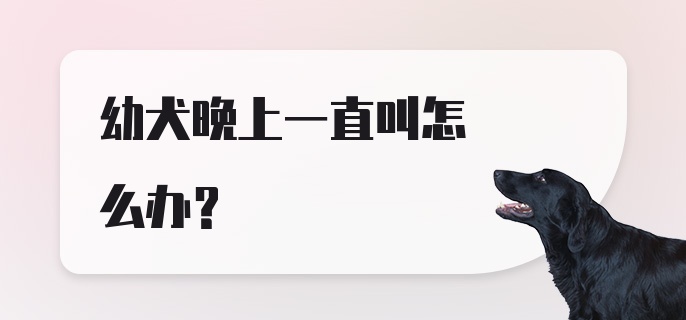 幼犬晚上一直叫怎么办？