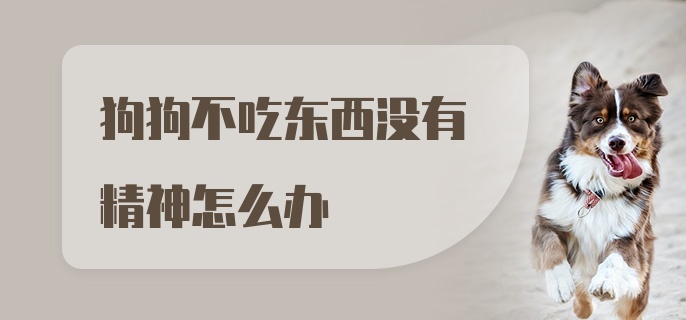 狗狗不吃东西没有精神怎么办