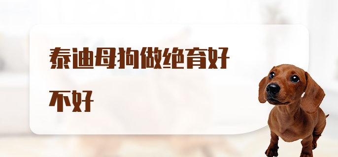 泰迪母狗做绝育好不好