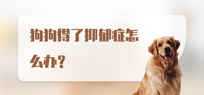 狗狗得了抑郁症怎么办？