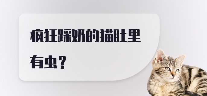 疯狂踩奶的猫肚里有虫?