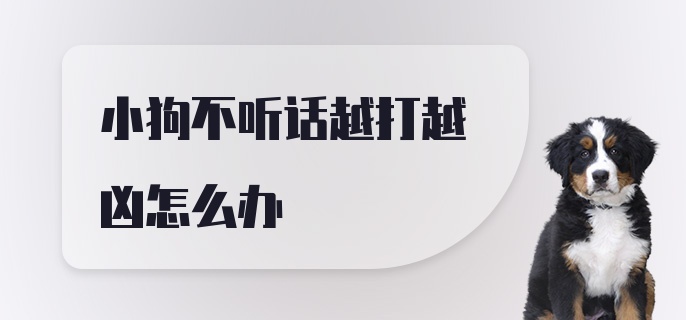 小狗不听话越打越凶怎么办