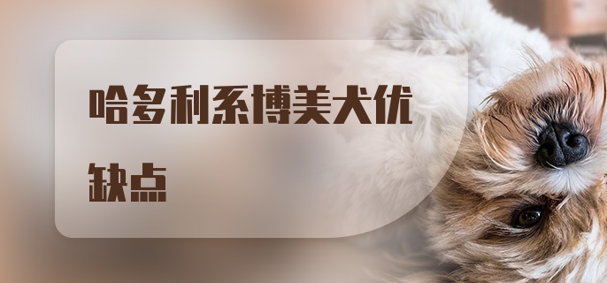 哈多利系博美犬优缺点