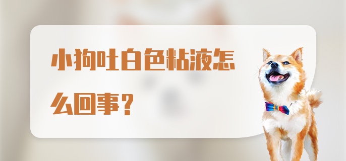 小狗吐白色粘液怎么回事？