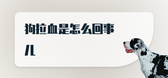 狗拉血是怎么回事儿