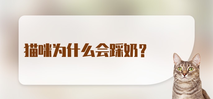 猫咪为什么会踩奶？