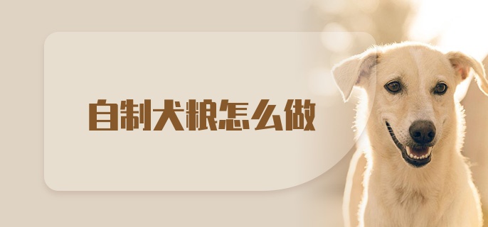 自制犬粮怎么做