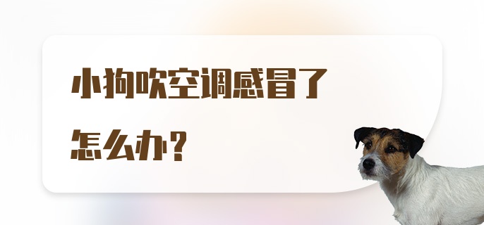 小狗吹空调感冒了怎么办？