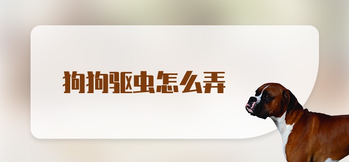 狗狗驱虫怎么弄