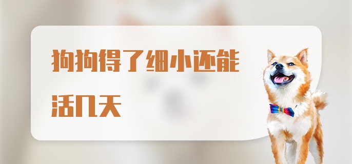 狗狗得了细小还能活几天