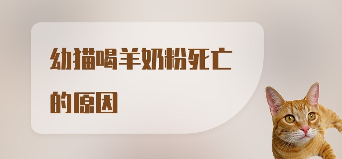 幼猫喝羊奶粉死亡的原因