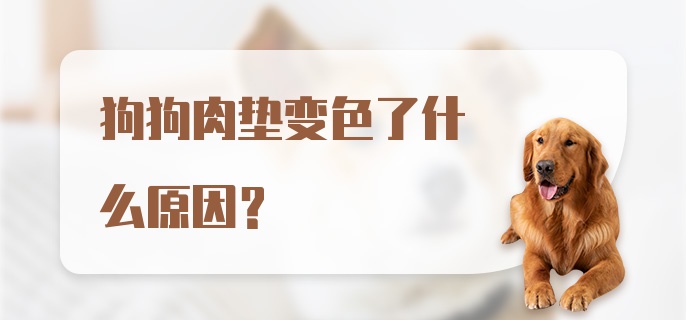 狗狗肉垫变色了什么原因？