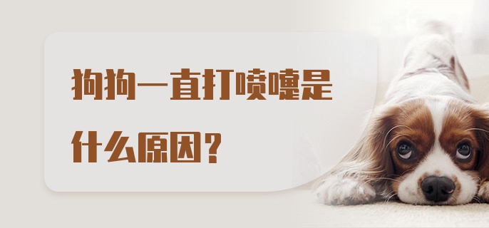 狗狗一直打喷嚏是什么原因？