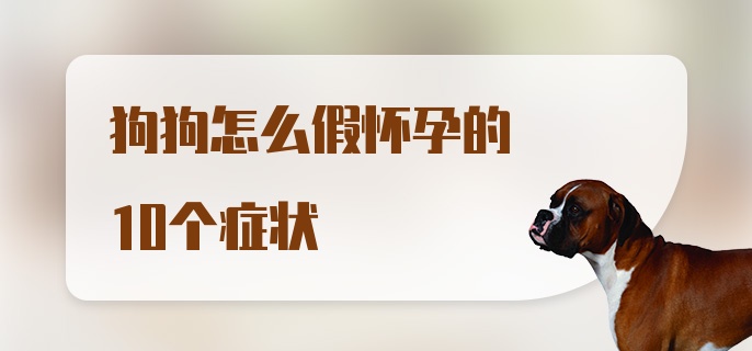 狗狗怎么假怀孕的10个症状