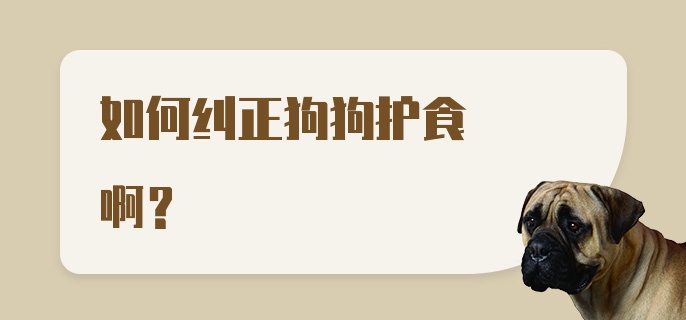 如何纠正狗狗护食啊？